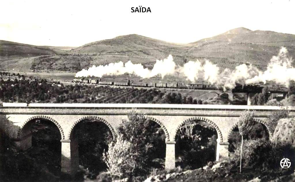 Saida 006- Train sortant de la gare.jpg